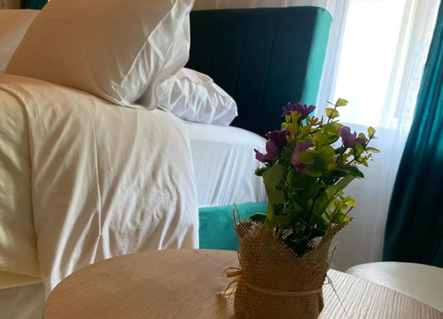 Guesthouse Bec Villi Theth Guest house